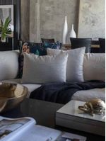 COS0006_Cojin-BIRDENA-50X50-Almohadon-0-2-1