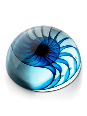 Pisapapeles Shell Blue
