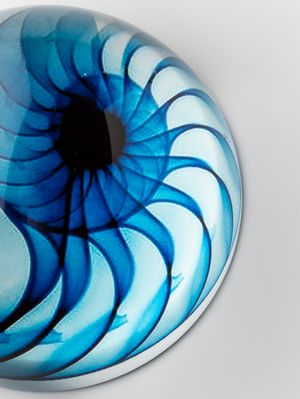 Pisapapeles Shell Blue