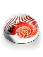 Pisapapeles-de-vidrio-SHELL-RED-Landmark-00