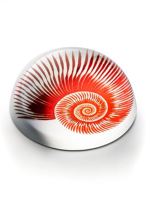Pisapapeles Shell Red